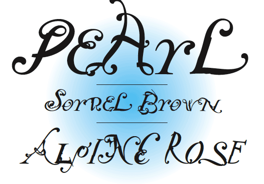 NotCaslon