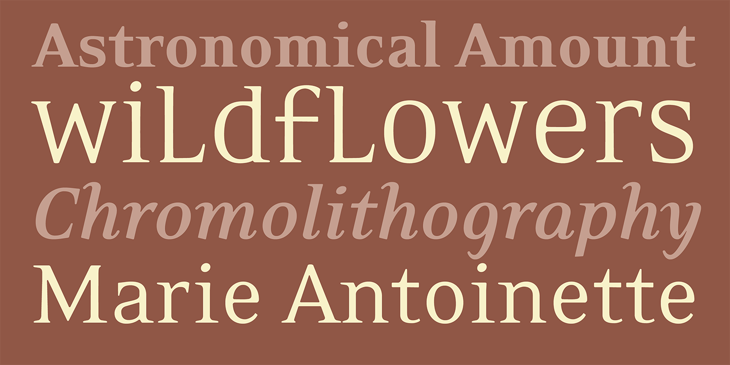 Eidetic Neo Font Sample 2