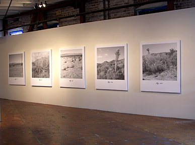 Emigre and Gallery 16 Present: <I>13 Big Western Landscapes</I> by Rudy Vand