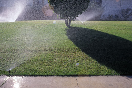 Palm Springs Lawn, CA, 2000