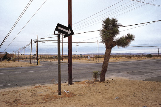 Joshua Tree, CA, 2000